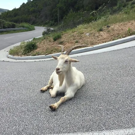 Διαμέρισμα Enola - Sea View Terrace Parking - By Tgb Pietrosella
