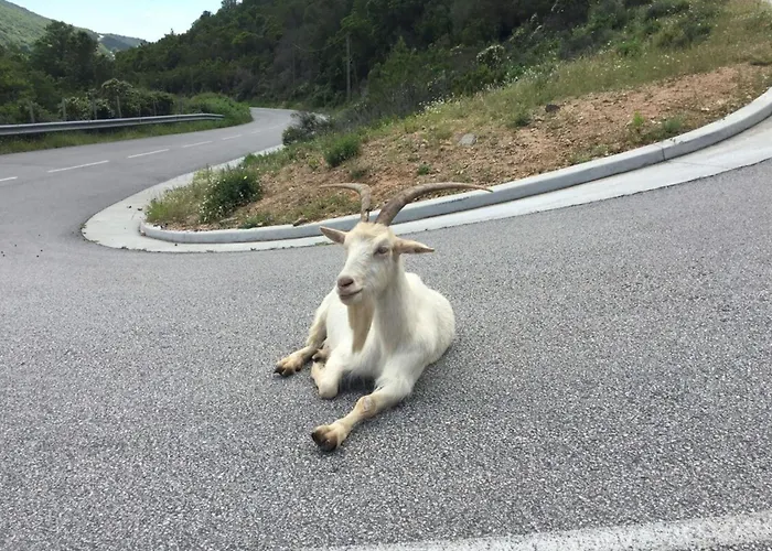 Apartment Enola - Sea View Terrace Parking - By Tgb Pietrosella